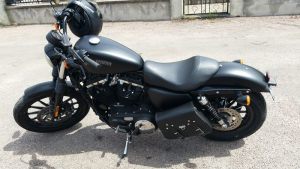 Sacoches Myleatherbikes Iron Roadster (40)